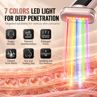 7-Color LED Facial Wand with Heat & Microcurrent