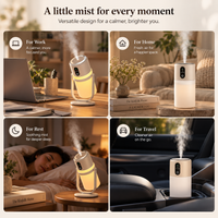 Silent Mist Humidifier