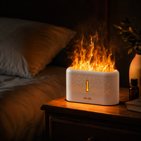 Ultrasonic Flame Aroma Diffuser