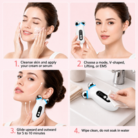 Microcurrent Facial Roller Device