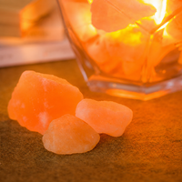 Himalayan Salt Lamp