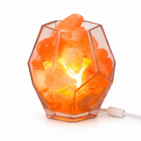 Himalayan Salt Lamp