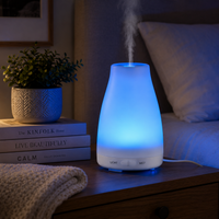 Vase Aroma Diffuser