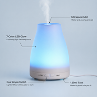 Vase Aroma Diffuser