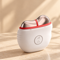 EMS Microcurrent Gua Sha with Heat & 5-Color Light