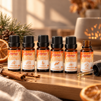Autumn Home Fragrance Oil Set