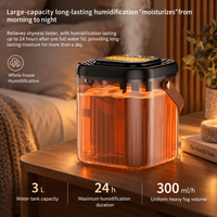 Portable Humidifier with Carry Handle