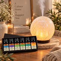 Bowling Glass Aroma Diffuser with 6 Essential Oils