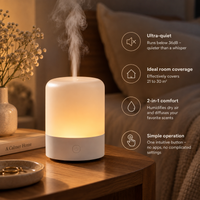 USB Desktop Aroma Diffuser and Small Humidifier