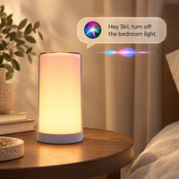 Smart Touch Bedside Lamp with Voice Control