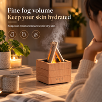 Bonfire Flame Diffuser Set with 6 Oils