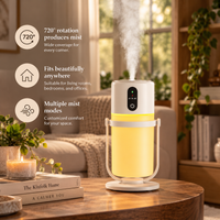 Silent Mist Humidifier