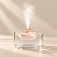 Drift Bottle Mini Humidifier
