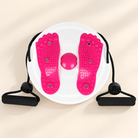 Large Acupressure Twist Board