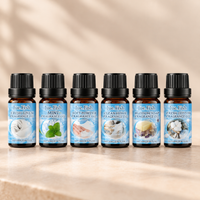 Clean Scent Home Fragrance Oil Set