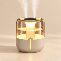 Dual Spray Humidifier with Digital Display
