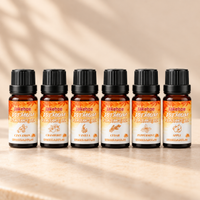 Autumn Home Fragrance Oil Set
