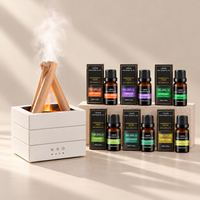 Bonfire Flame Diffuser Set with 6 Oils