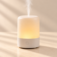 USB Desktop Aroma Diffuser and Small Humidifier