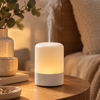 USB Desktop Aroma Diffuser and Small Humidifier