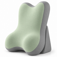 Adjustable Memory Foam Backrest Pillow