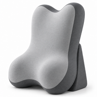 Adjustable Memory Foam Backrest Pillow