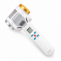 Warm & Cool Facial Wand